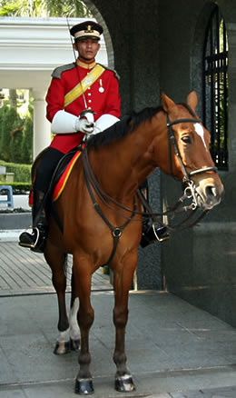 Berittener Wächter am königlichen Palast Berittener Wächter am königlichen Palast