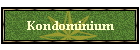 So wohn(t)en wir im Kondominium